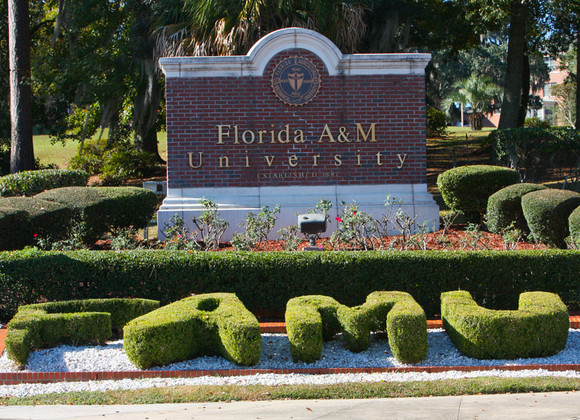 Florida Agricultural and Mechanical University - MSW